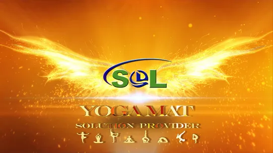 High Quality Yoga Accessories Cork Block Yoga Brick with Laser Logo